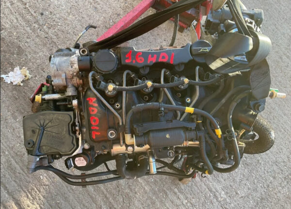 Citroen Berlingo Peugeot Partner 2008-2018 1.6 HDI Engine DV6TED4 9HZ + Warranty